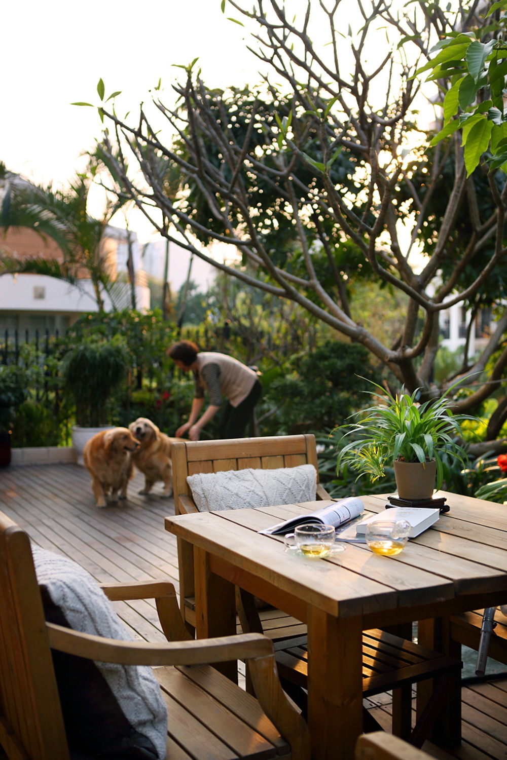 招商海月花園舊房改造設計